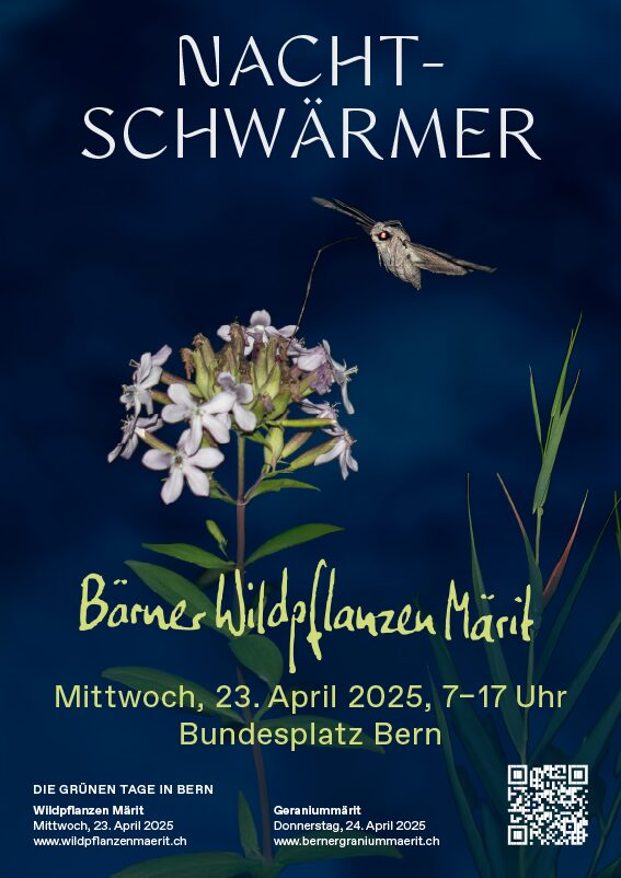 Berner Wildpflanzemärit 2025